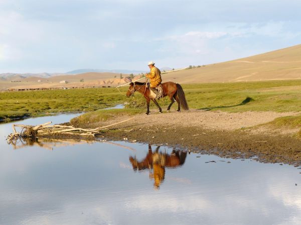 mongolia festival naadam
