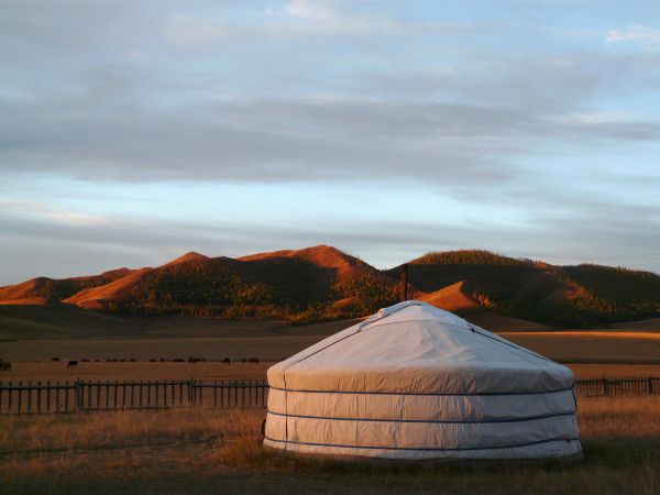 mongolia festival naadam