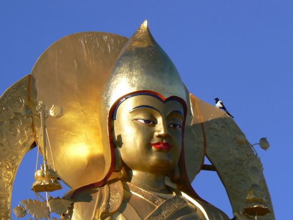 mongolia festival naadam
