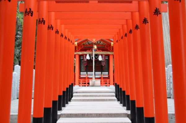 Kinkakuji - Pabellon Dorado