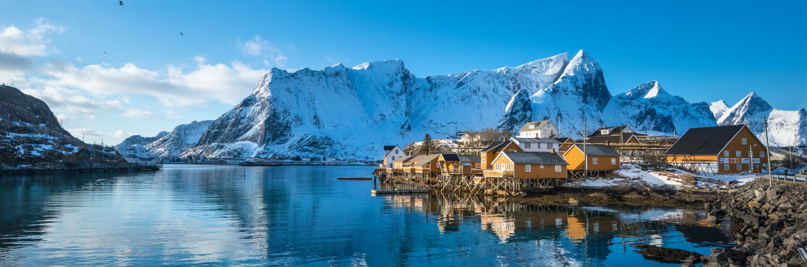 Noruega. CONFORT Lofoten, auroras boreales y trineo de perros
