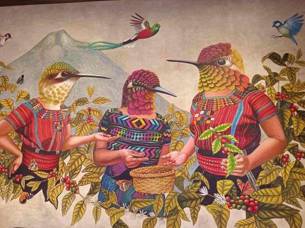 volcn Izalko, El Salvador