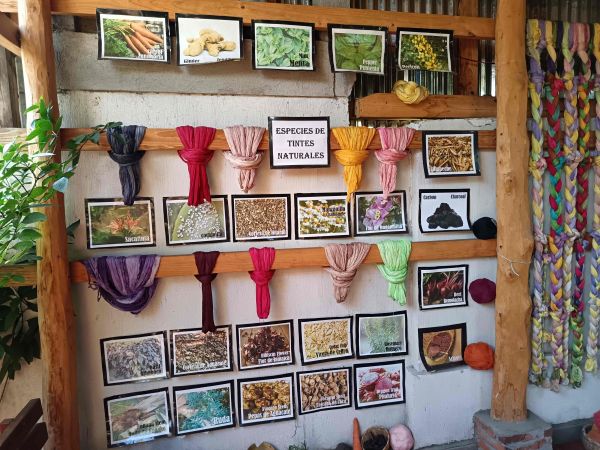 volcn Izalko, El Salvador