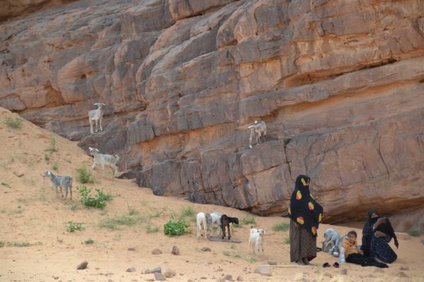 Argelia. Reino de Numidia y pueblos bereberes