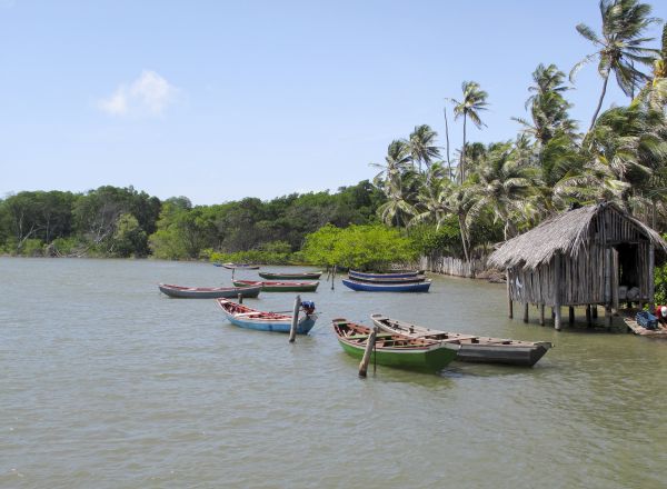Brasil, ritmo urbano y naturaleza salvaje