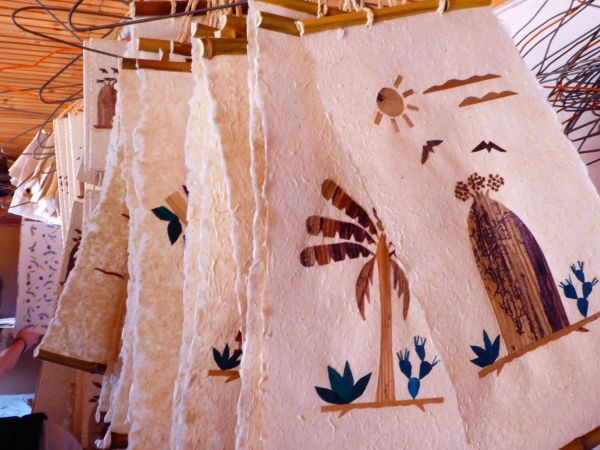 Expedici�n Baobab