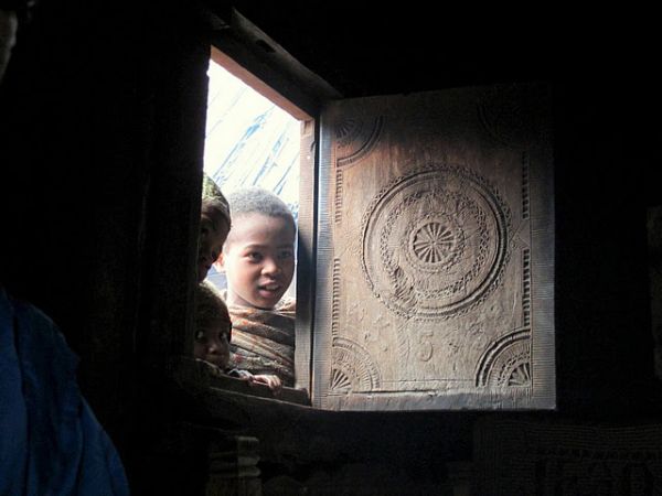 Expedici�n Baobab