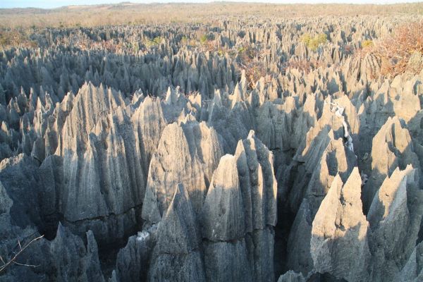Expedici�n Baobab